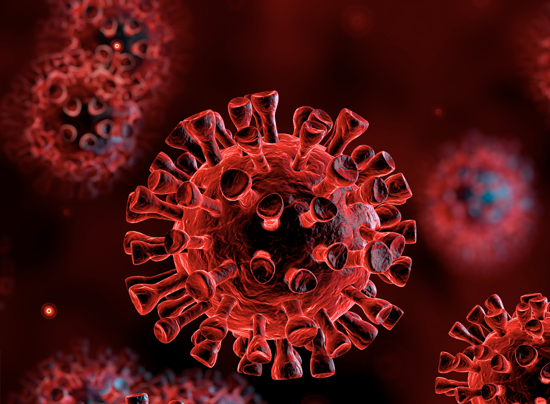 Coronavirus-COVID-19.jpg